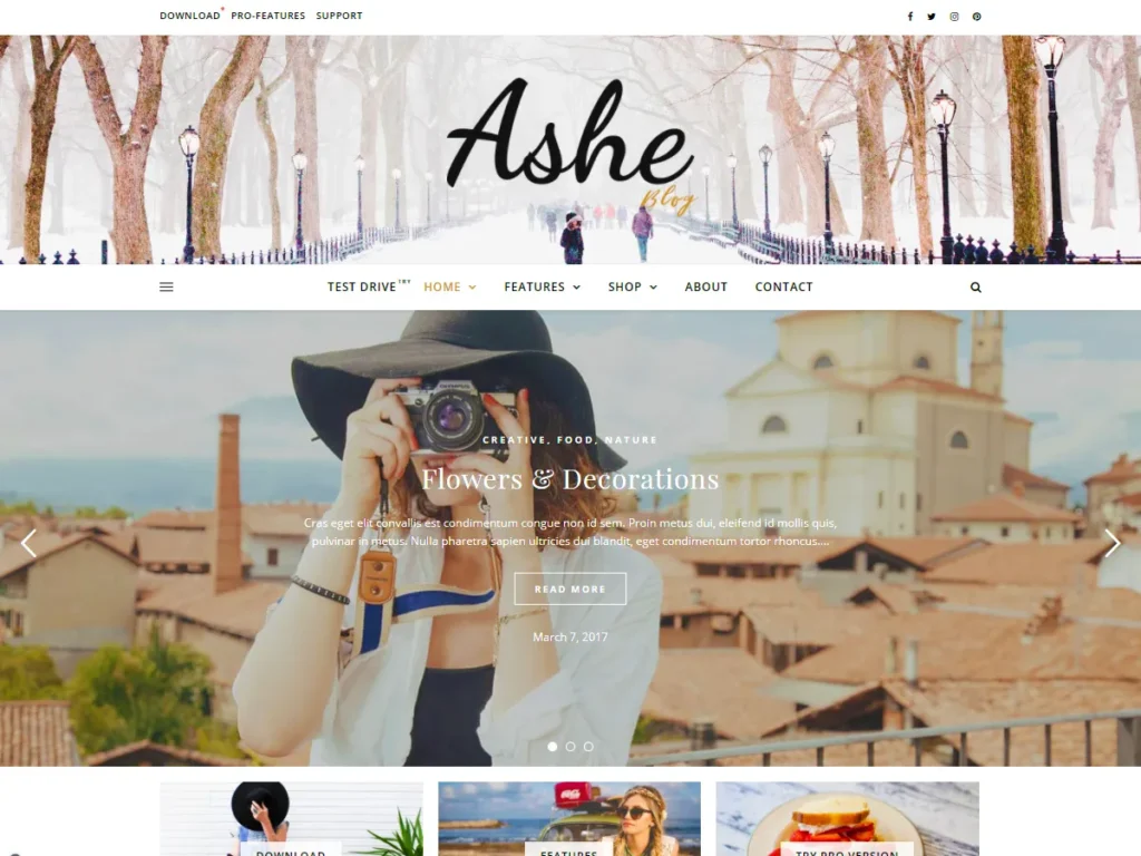 Free Themes for Ashe Blogs